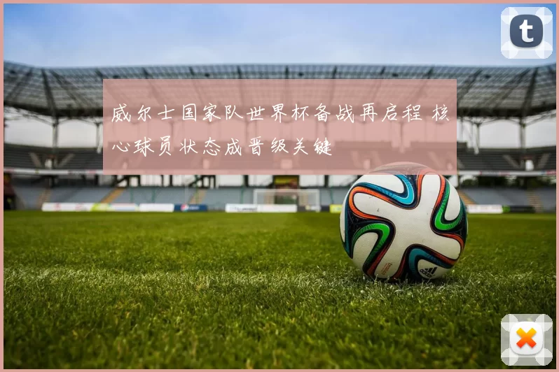 威尔士国家队世界杯备战再启程 核心球员状态成晋级关键