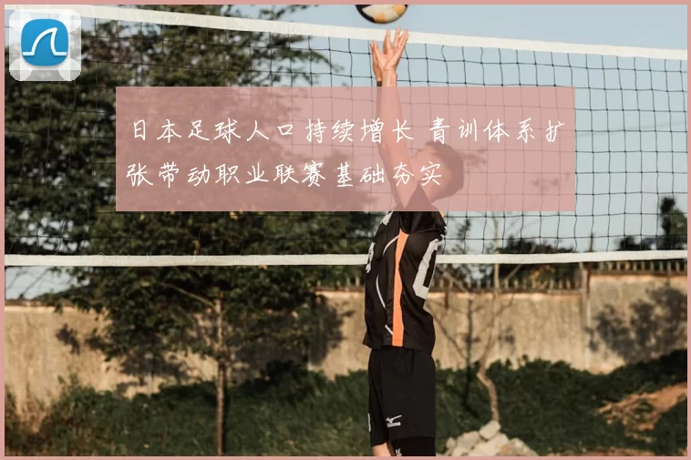 日本足球人口持续增长 青训体系扩张带动职业联赛基础夯实